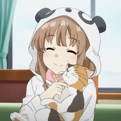 晨光里的猫头像